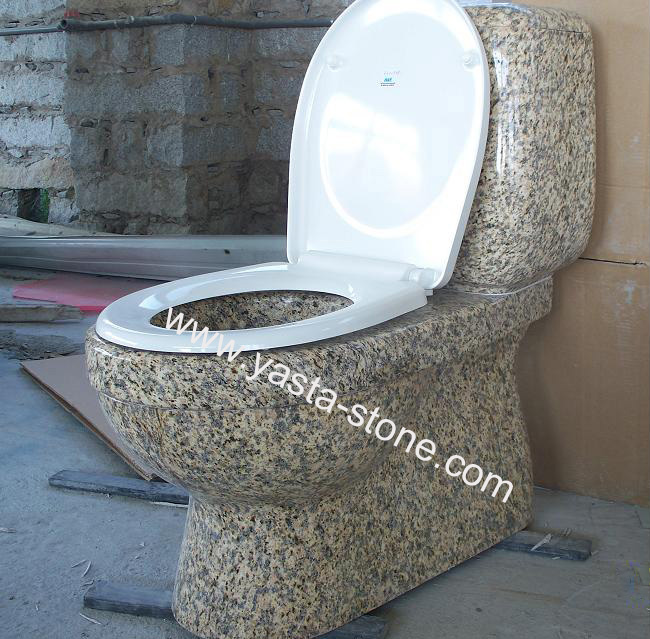 Granite Toilet